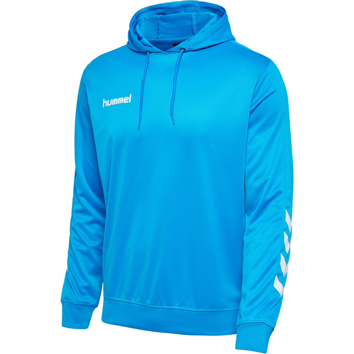 Mens Hoodie - Blue