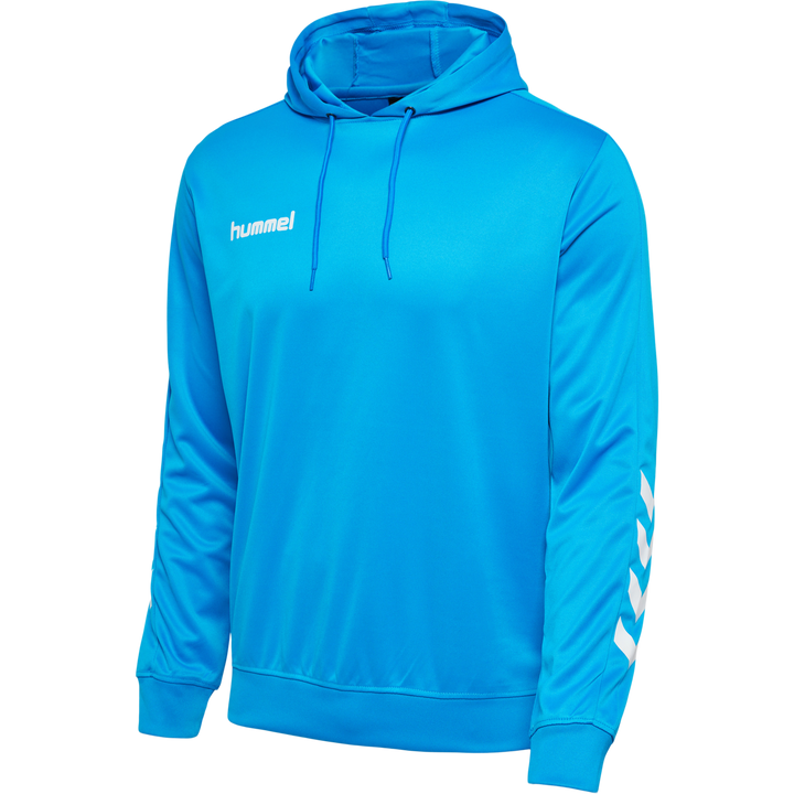Mens Hoodie - Blue