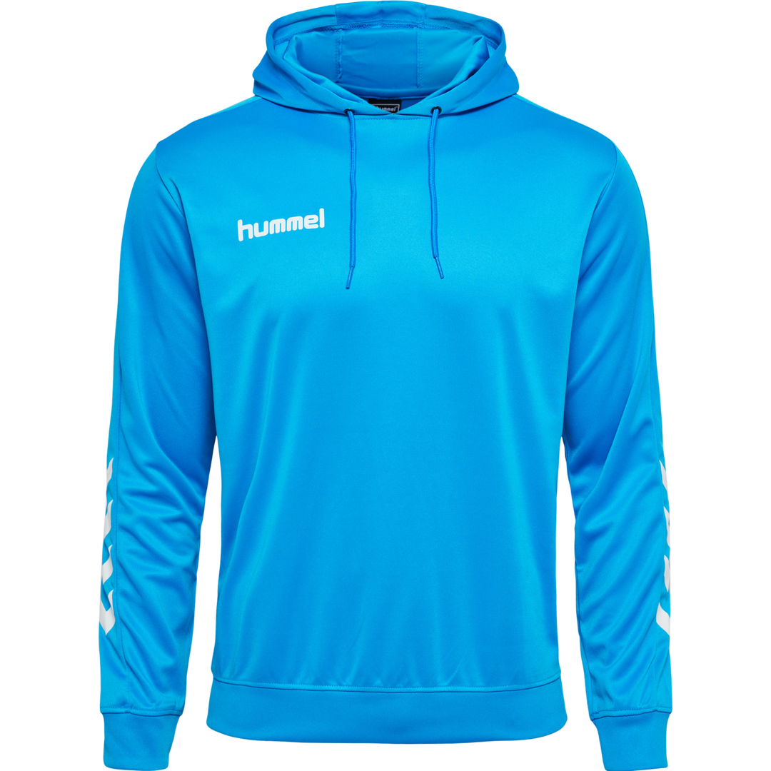 Mens Hoodie - Blue
