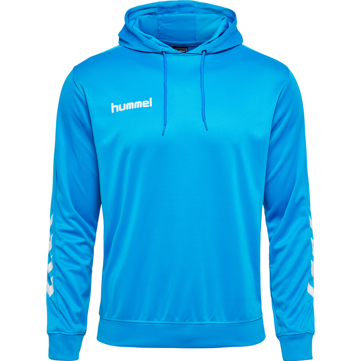 Mens Hoodie - Blue