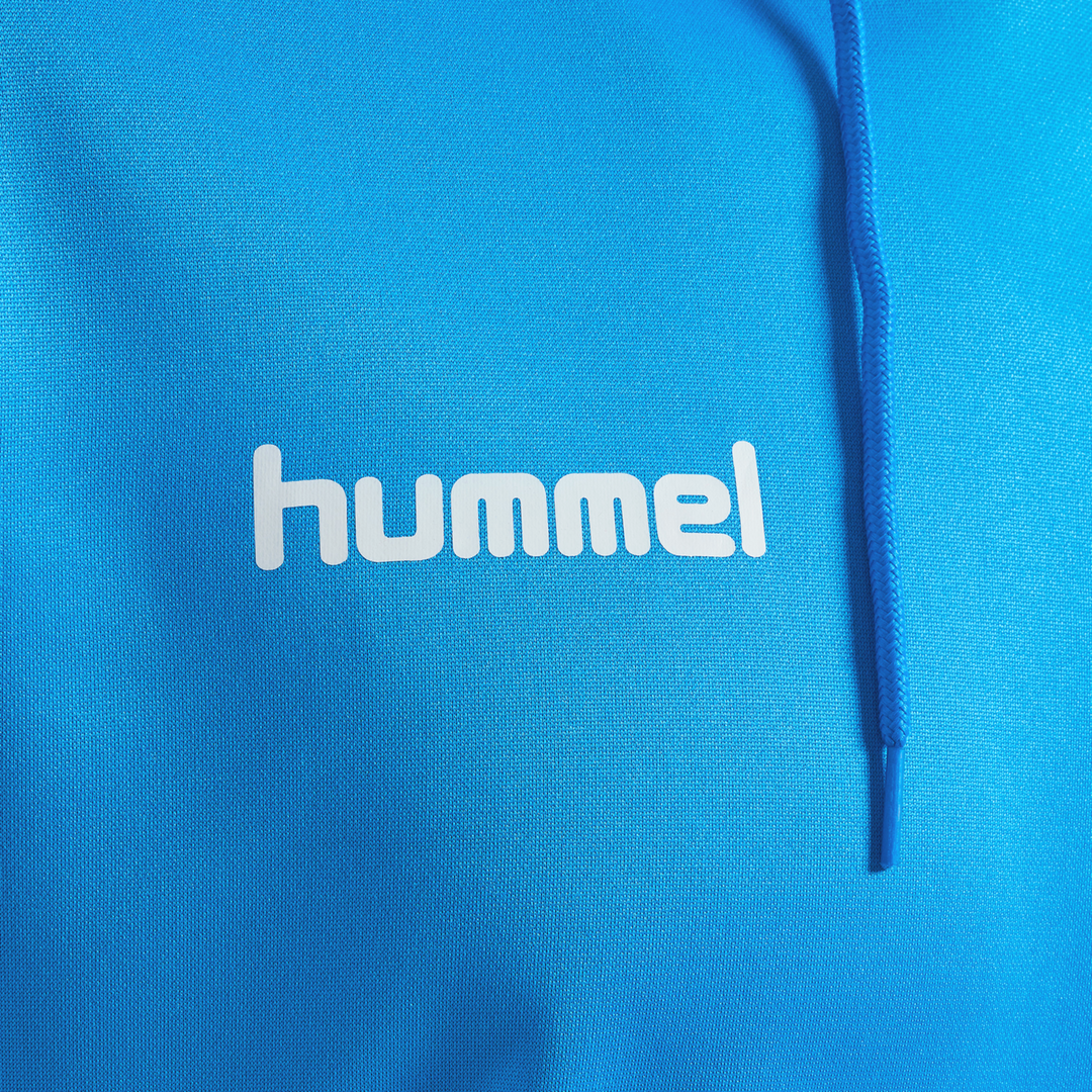 Mens Hoodie - Blue
