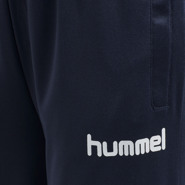 Boys Athletic Pants - Blue