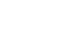 Findys