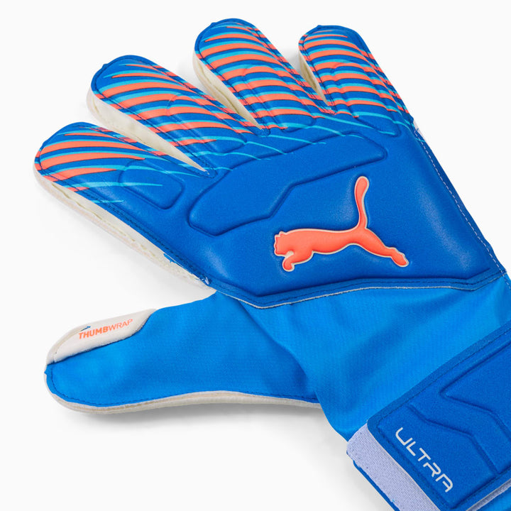 Mens Gloves - Blue