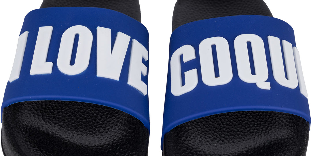 Blue Slippers